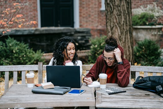 students studying together in a park